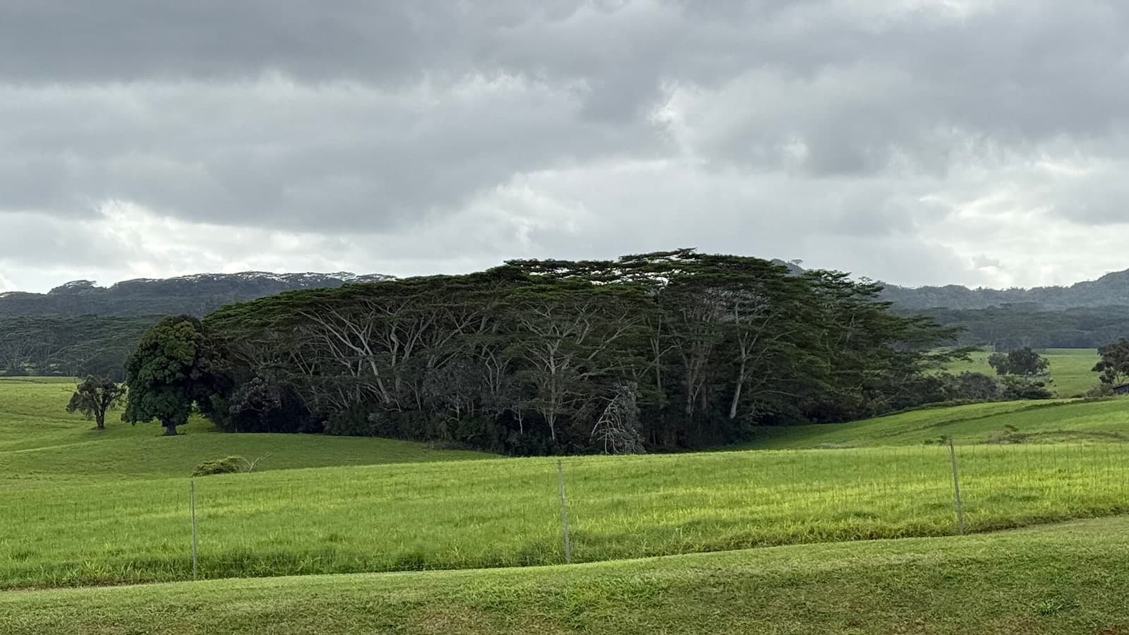 Wiki File:Jurassic Park 01 01 Farragutful Wikimedia Commons 01 01 01 01 01 01 01 01 01 01 01 01 01 01 01 01 01 01 01 01 01 01 01 01 01 01… — contextual file photograph