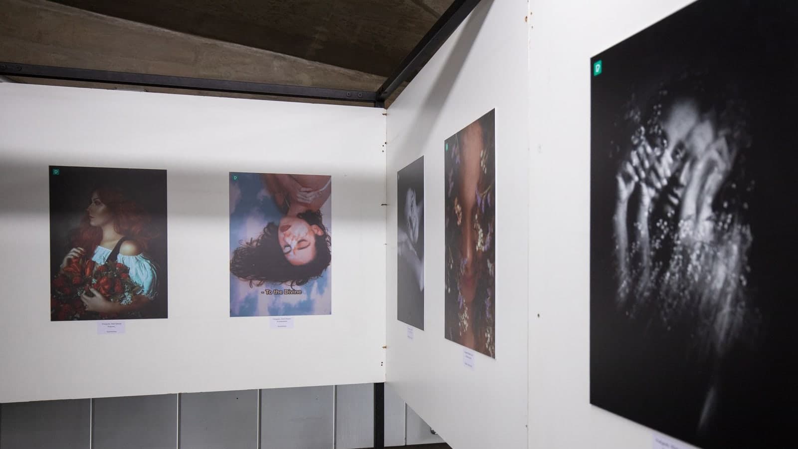 Photo art gallery photography exhibition art Matheus Bertelli Pexels art art art art art art art art art art art art art art art art art… — illustrative photograph