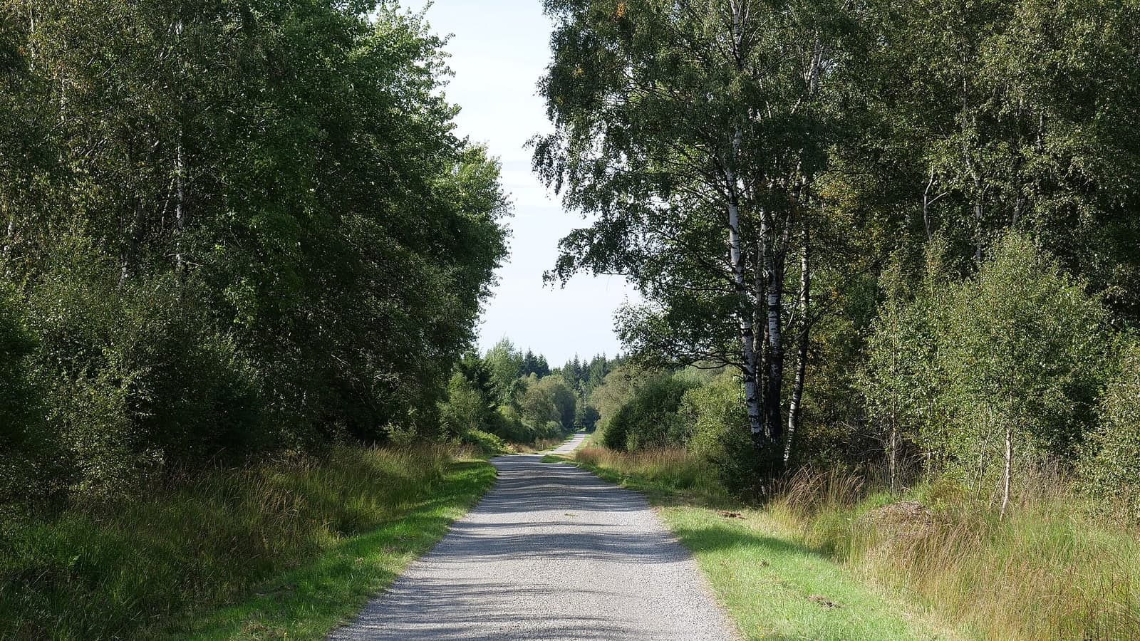 Wiki File:Pilgerweg Hautes Fagnes 02 02 Leonhard Lenz Wikimedia Commons 02 02 02 02 02 02 02 02 02 02 02 02 02 02 02 02 02 02 02 02 02 02… — file photograph