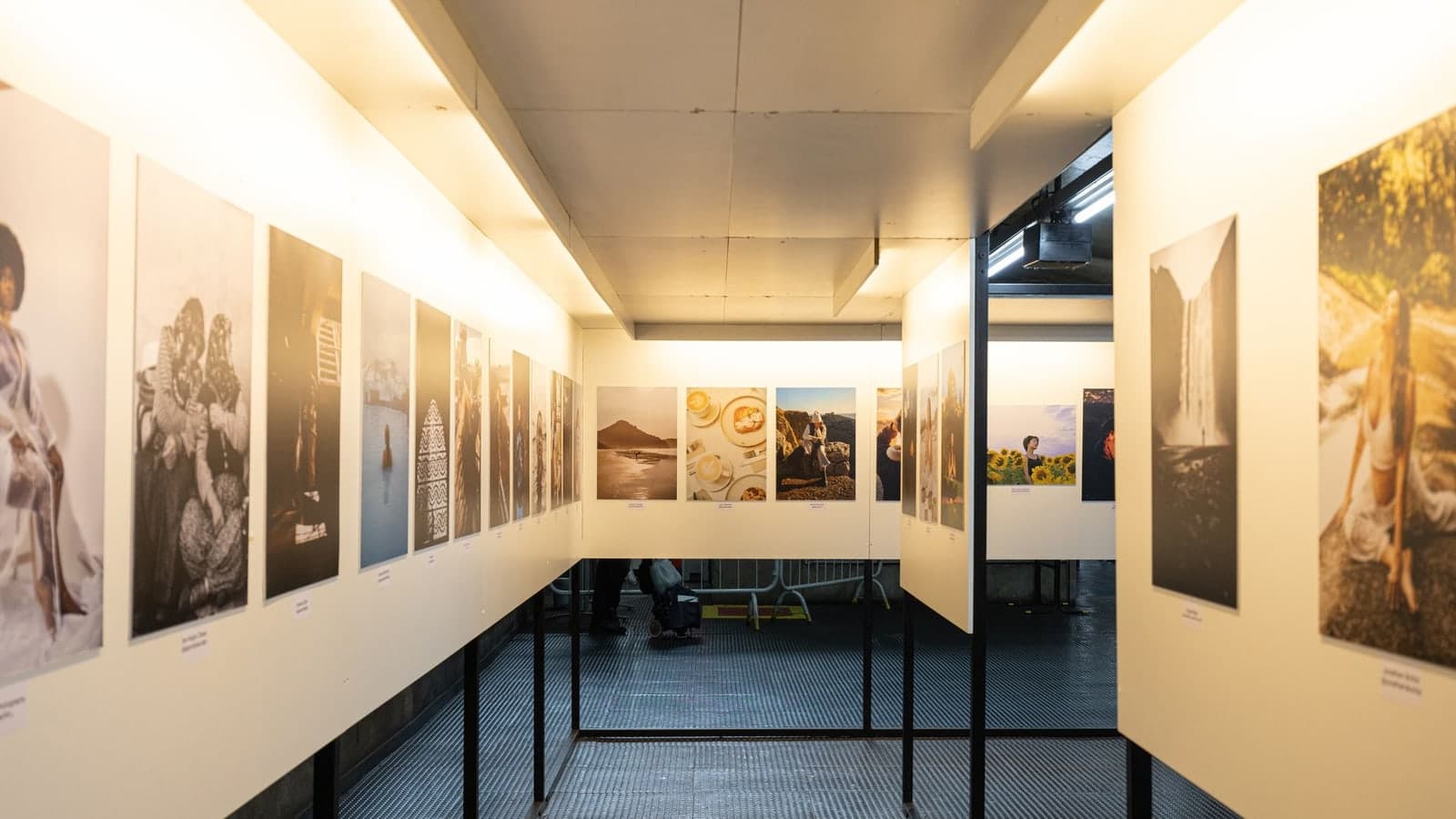 Photo exhibition of photographies of Matheus Bertelli Pexels of of of of of of of of of of of of of of of of of of of of of of of of of of… — contextual file photograph
