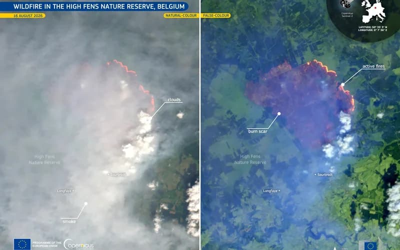 Wiki File:Wildfire in the High Fens nature reserve, Belgium (Copernicus 2026 08 16) fotoinformator pl European Union, Copernicus Sentinel-2… — file photograph